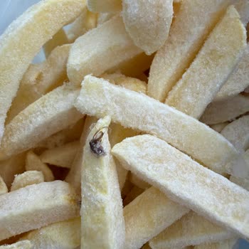 İnci Gıda Dondurulmuş Patates Kızartmasında Yabancı Böcek Benzeri Madde