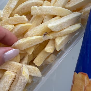 İnci Gıda Dondurulmuş Patates Kızartmasında Yabancı Böcek Benzeri Madde