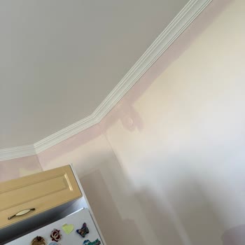 Kum Beyazı Boya Lila Renkte Çıktı, Renk Uyuşmazlığı Ve İade Talebi