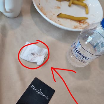 Eki aç