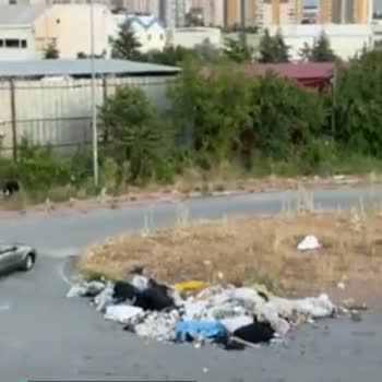 Kayseri Büyükşehir Belediyesi Konteyner Yetmiyor, Çöp Oluyor Her Yer!
