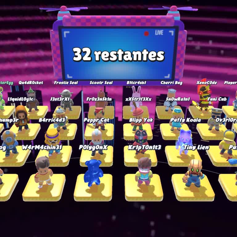 Problemas de acceso a Stumble Guys tras actualización, solicito solución