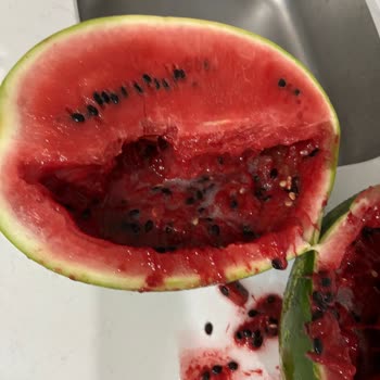 Çürük Karpuz Teslimatı Ve Müşteri Hizmetlerine Ulaşılamaması
