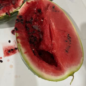 Çürük Karpuz Teslimatı Ve Müşteri Hizmetlerine Ulaşılamaması