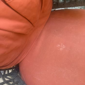 Otel Temizlik Sorunları Ve Jolly Tur'dan İade Talebi