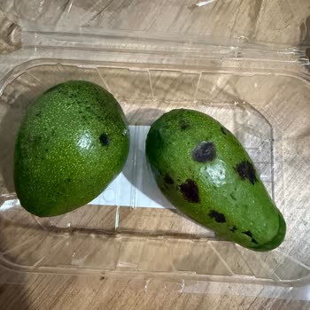 Hazır Avokado Sert Çıktı Ve İade Talebi