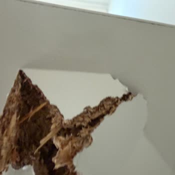 MDF Olduğu Söylenen Takımın Sunta Olması Ve Gardırop Ayağının Kırılması