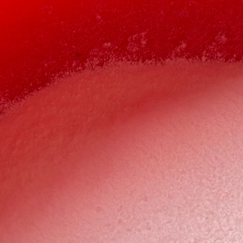Dr. Oetker Krem Şanti Ürünün İçinde Böcek Keşfi Ve A101’in Yetersiz Yanıtı