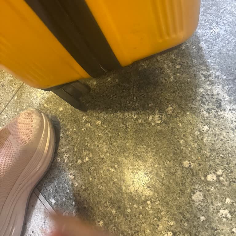 Uçuş Gecikmesi Ve Bagaj Hasarı Nedeniyle İade Ve Tazmin Talebi