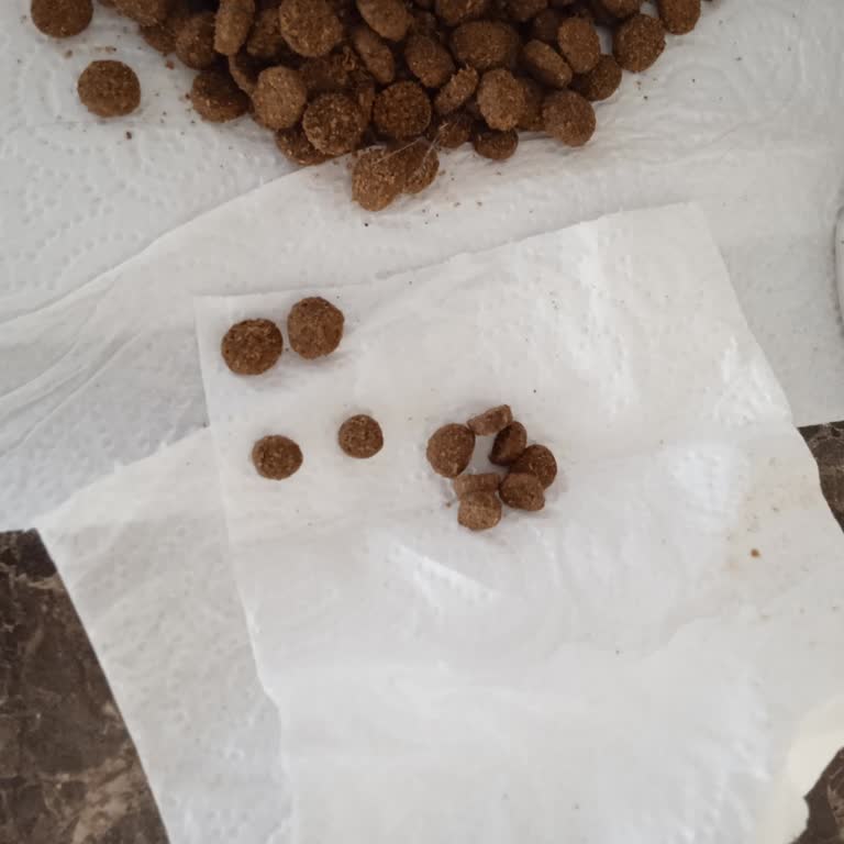 Petlebi'den Gelen Kedi Maması Değişti, Kediler Yemiyor