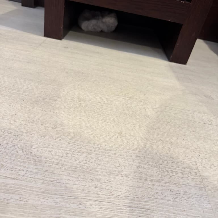 Hijyen İhmali, Bebek Bezi Bulunması Ve Personel Saygısızlığı