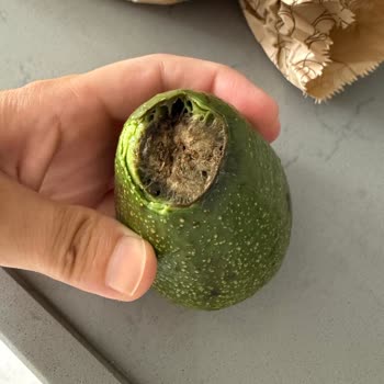 Migros Hemen Teslim Siparişimde Çürük Ürünler Ve Cevapsız Şikayet