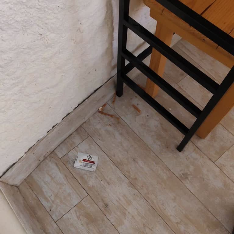 Airbnb Oda Temizliği Nedeniyle Hakaretli Ve Azarlayıcı Mesaj