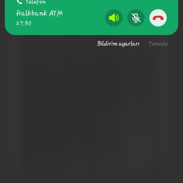 Halkbank Sosyal Yardım Kartı Şifresi Alınamıyor, ATM’den Para Çekemiyorum