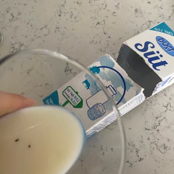 Dost Sütünde Kurt Ve Bit Çıktı: Gıda Güvenliğine Güvenim Kırıldı