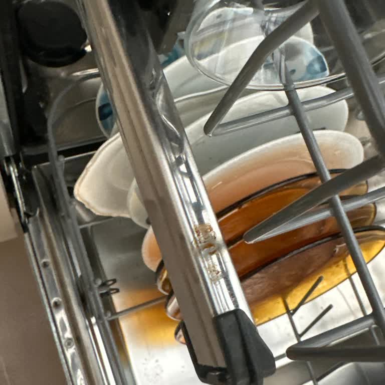 Electrolux Bulaşık Makinesi Paslanıyor Ve Montajı Sorunlu