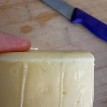 Kebir Kaşar Peynirinde Kıl Bulunması Ve Hijyen Endişesi