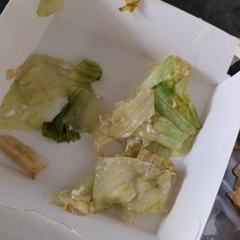 Mayonez Ve Marul İsteği Göz Ardı Edildi, Çocuklar Hamburger Yiyemedi