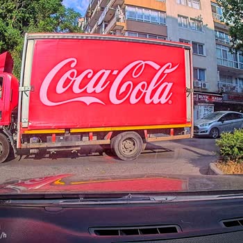 Coca-Cola Şoförünün Martıyı Ezmesi Ve Küfürlü Tutumu Kabul Edilemez
