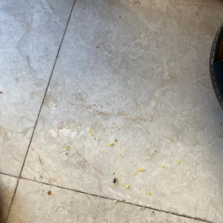 Hastane hijyen şikayeti ve ilaçlama talebi