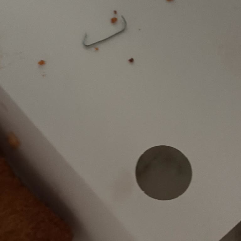 Zımba Telinin Çıktığı Dürüm Ve Açık Soslar Nedeniyle Sağlık Riski Ve Yetersiz İade