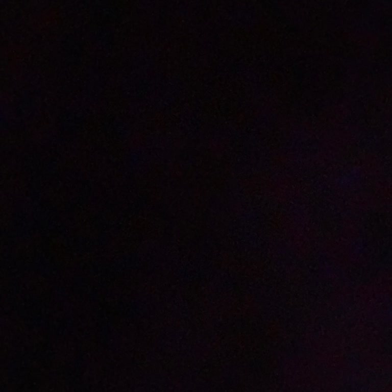 Tavuk Dünyası'nda Sinekle Karşılaşılan Hijyen Sorunu Ve İade Talebi