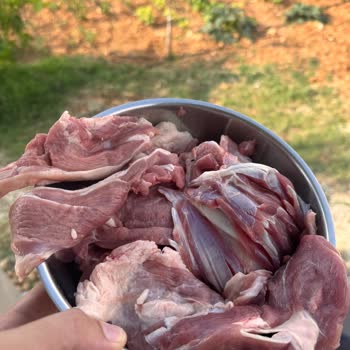 Kuzu Külbastı Kalitesindeki Farklılık Ve İade Talebi