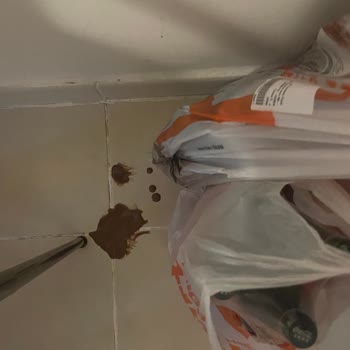 Migros Hemen Siparişinde Erimiş Dondurma Ve Açık Ambalaj Nedeniyle Hijyen İhlali