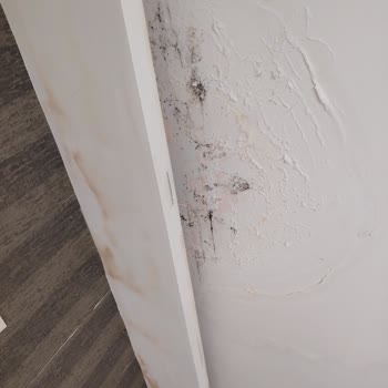 Kirli Oda Ve Eksik Hizmetler Nedeniyle Otelden Çıkmak Zorunda Kaldık Ve 3450 TL İade Talep Ediyoruz