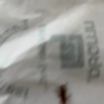 Uludağ Restoran Florya Şubesinde Dönerde Canlı Böcek Bulunduğu İçin Hijyen İhlali