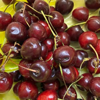 Çürük Ürünler Gönderildi, 1.600 TL’lik Siparişim İçin Tam İade Talebi