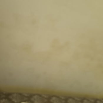 Sağlık Riski Olan Oda Ve Tatilbudur’un Çözüm İhmali