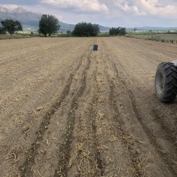 Çelikel Future 2 Otomatik Dümenleme Sistemi Sürekli Sapma Yaşıyor, Acil Çözüm Talep Ediyorum
