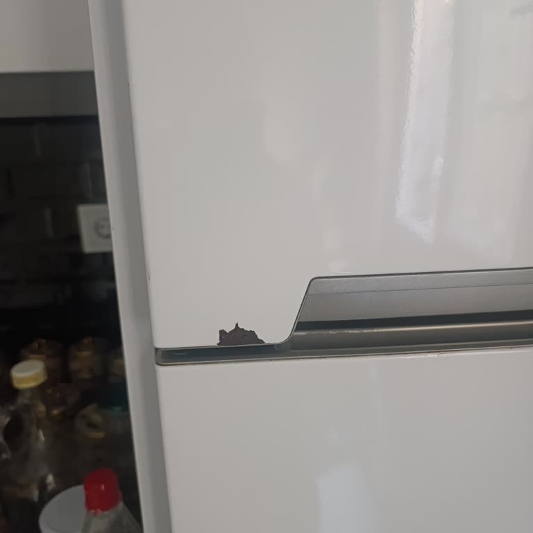 Vestel Buzdolabında Boya Dökülmesi Ve Ürün Değişim Talebi