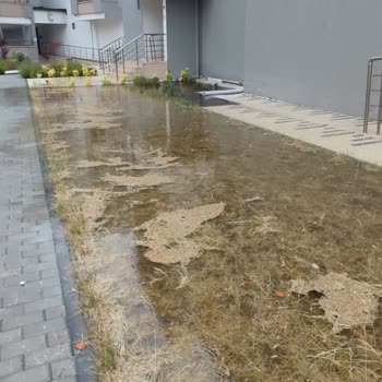 Yapalı İnşaat Binada Dökülmedik Yer Kalmadı