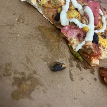 Pizza Diliminde Zeytin Çekirdeği Tespit Edildi, Diş Kırma Riski Oluştu