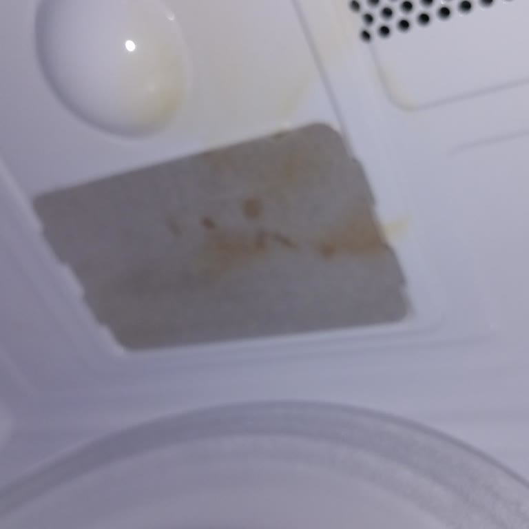 Vestel Mikrodalga Yanık Kokusu Ve Sararma İçin Haksız Kullanıcı Hatası İddiası