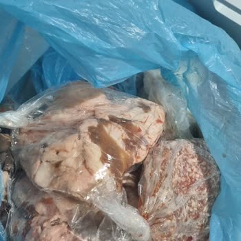 Devre Dışı Kalan Dondurucu 20 Kg Gıdayı Çözdü, Maddi Zarara Yol Açtı