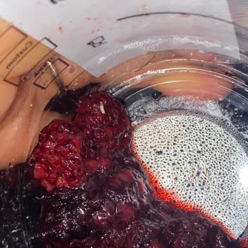 Starbucks İçindeki Kurt Ve 10 Günlük Cevapsızlık