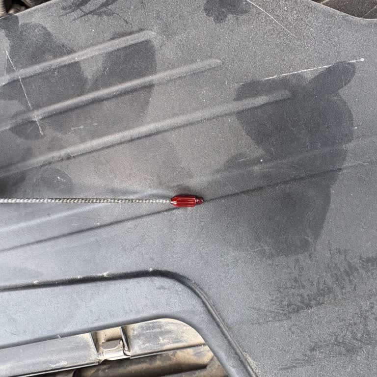 BMW F30 320i Yağ Çubuğu Kırılması Ve Ücretsiz Onarım Talebi
