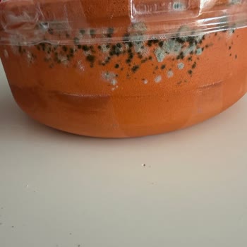 Son Kullanma Tarihi Geçmemiş Süt Ürününün Kapında Küflenme
