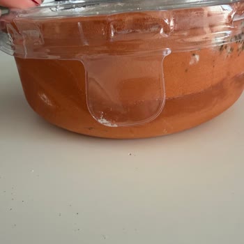 Son Kullanma Tarihi Geçmemiş Süt Ürününün Kapında Küflenme