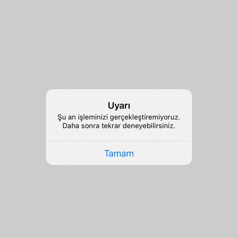 Uygulama Üzerinden Satış İşlemi Yapılamaması Nedeniyle Maddi Kayıp Ve Zaman Kaybı