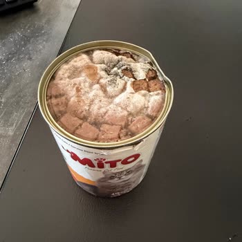 Küflenmiş Konserve Mama Teslim Alındı, Firma Sorumluluğu Reddetti Ve İade Sunmadı