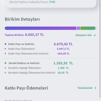 Axa Fit Bireysel Emeklilikte Ödenen 10.000 TL’nin Hesapta Görünmemesi Ve Yanıltıcı Bilgilendirme