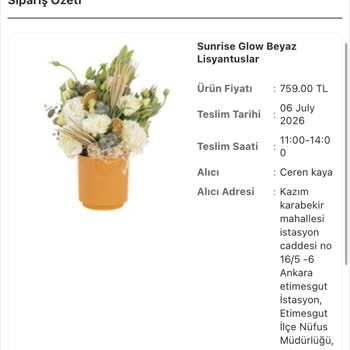 Canlı Ve Renkli Çiçek Siparişimde Solmuş Tek Renk Ürün Geldi