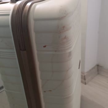 Biletli Seyahatte Valizde Balık Kaynağından Kirlilik Şikayeti