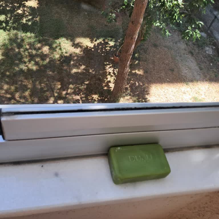 Duru Sabunu Banyoda Ağır Ve Rahatsız Edici Koku Yaratıyor