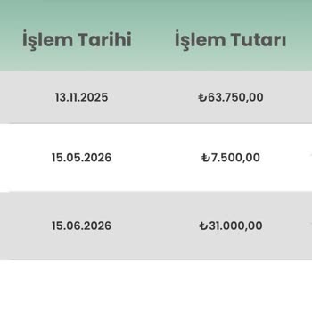 Yanlış Ev Taksiti Ödemesinin Araç Tasarruf Planına Düzeltme Talebi