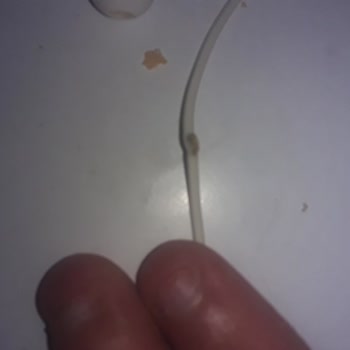Amazon Kulaklıkta Kablo Aşınması Ve Ses Kesintisi